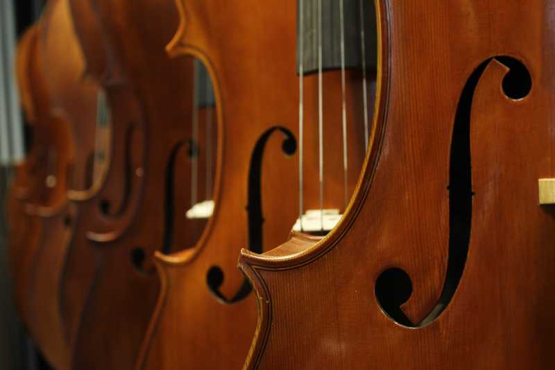 Des contrebasses à cordes alignées